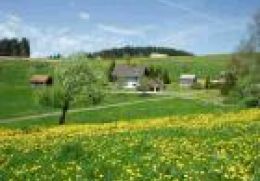 Haus Jan�en-Wehrle