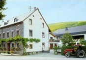 Weingut & Ferienwohnungen