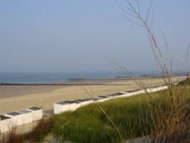 Seestern / Strandburg