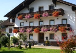 Haflingerhof Gois�ckl