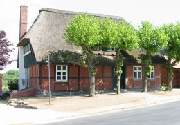 Reetdachhaus in Mustin