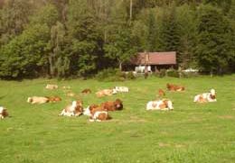 Ferienh�tten Perschlhof