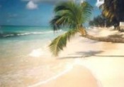Barbados Paradise Ferienwohnungen