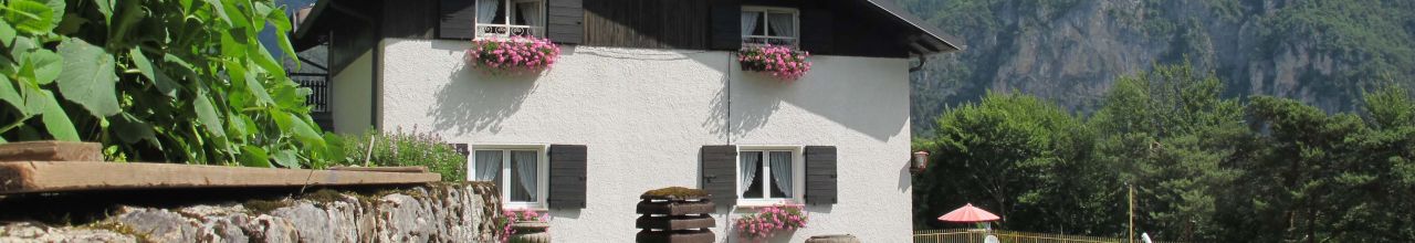 Chalet Lidia - Ledrosee