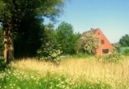 Ferienhaus am Friesenhof