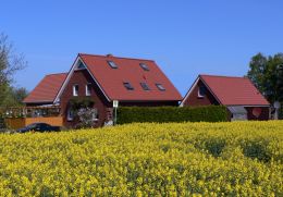 Haus am Feld