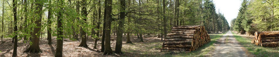 Ferienh�user gesucht?  Th�ringer Wald - Ferienwohnungen g�nstig buchen