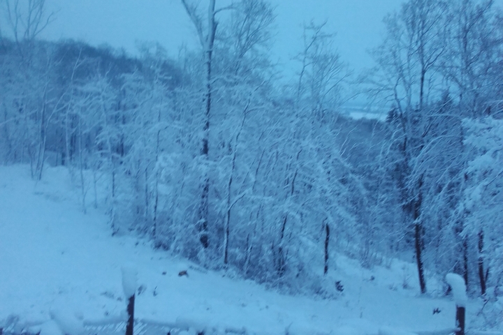Winterlandschaft von der Terrasse aus gesehen