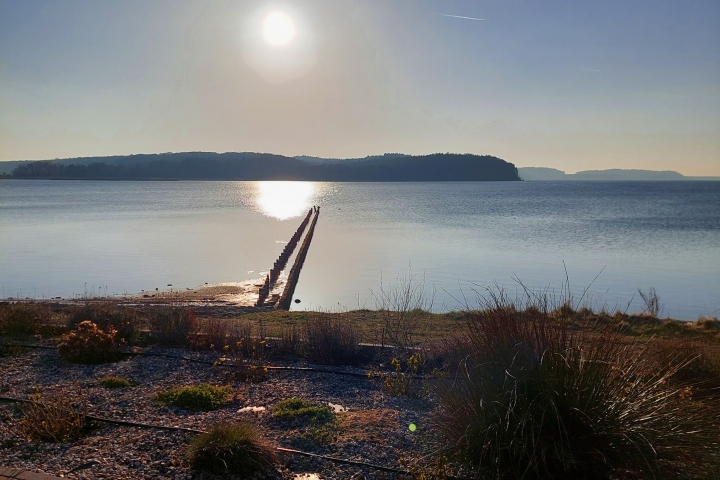 Abendstimmung am Jasmunder Bodden bei Bergen