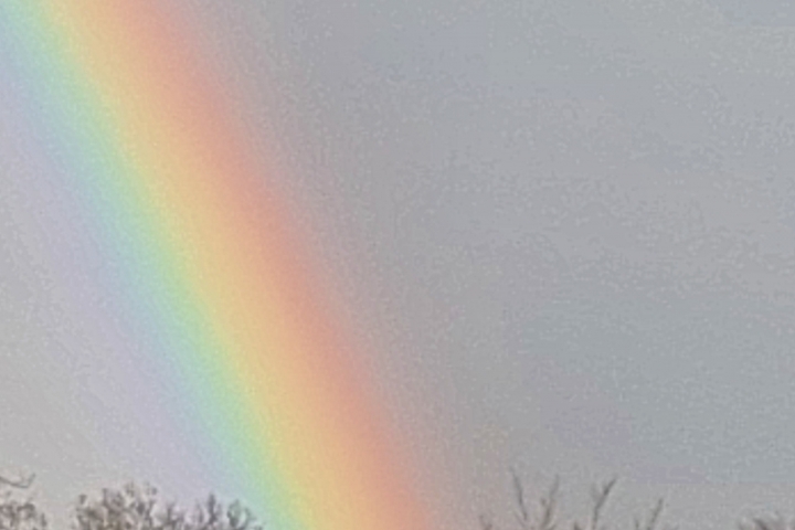 Regenbogen von der Terrasse aus gesehen