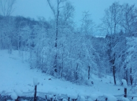 Foto 14