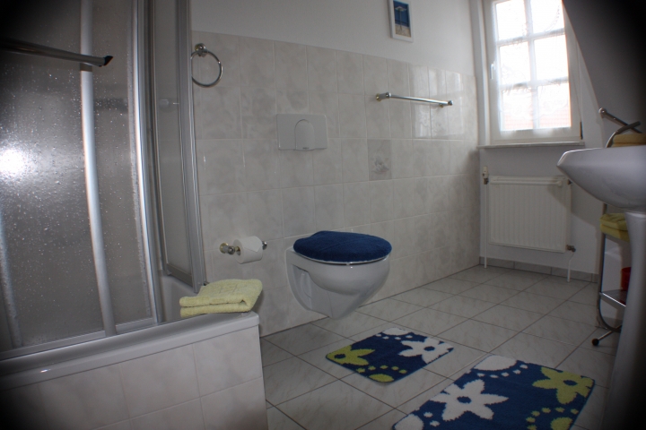Bad mit Dusche und WC sowie Waschbecken, Spiegel und Badregal
