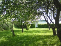 Romantischer Obstgarten