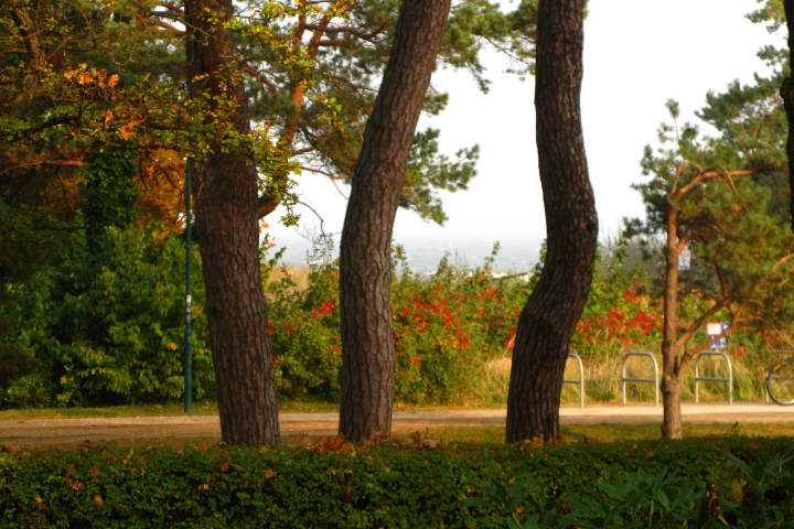 Blick von der Veranda auf die See und Promenade