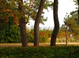 Blick von der Veranda auf die See und Promenade