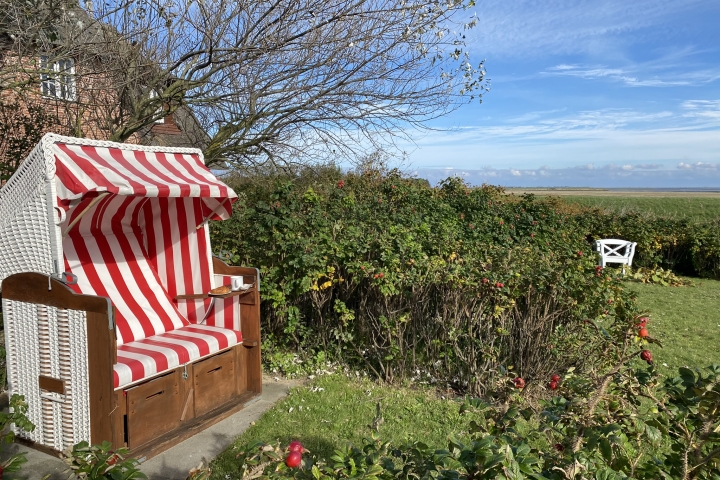 Eigener Strandkorb zwischen Heckenrosen