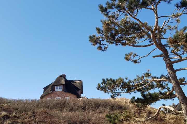 Einzelzimmer OG I - Blick aus dem Zimmer