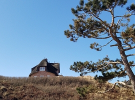 Foto 22