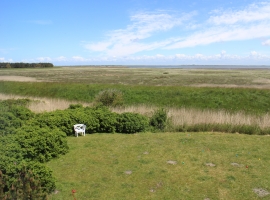 Blick in den Garten und aufs Wattenmeer