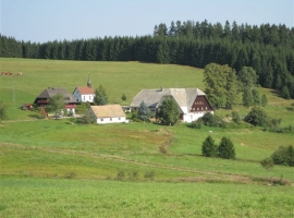 Ruhig liegen die Bauernhöfe in der typischen Streusiedlungslandschaft.