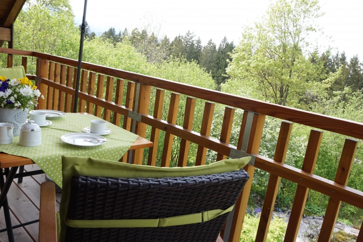 Blick auf die Lechauen vom Westbalkon
