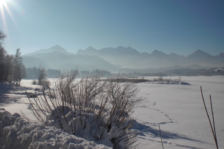 Winterspaziergang am Forggensee