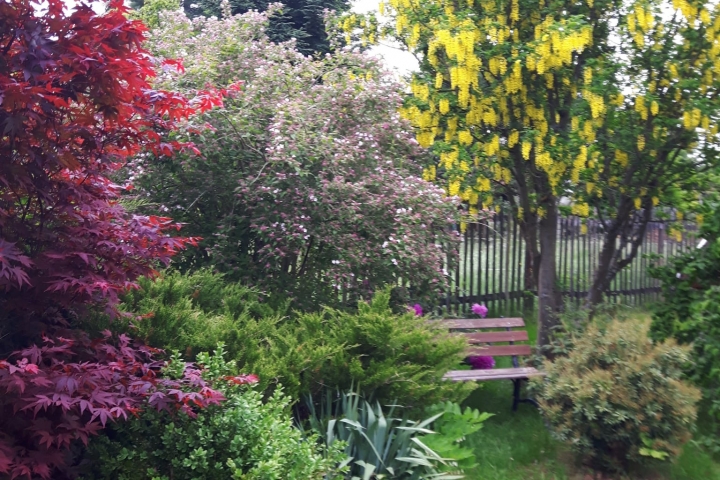 Es grünt & blüht in unserem wunderschönen Garten.
