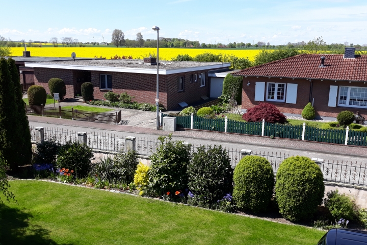 Blick von der Loggia auf das gelbe Rapsfeld