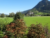 Foto 19
