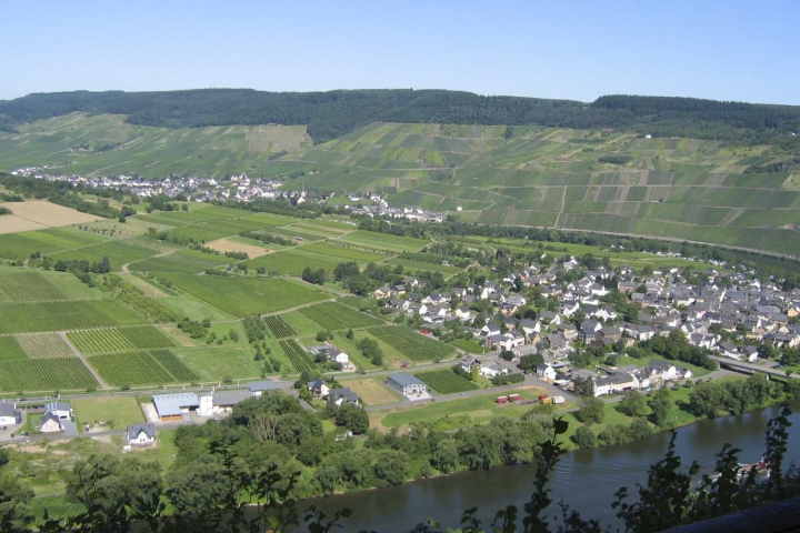 Blick vom Moselsteig Richtung Wolf und Kröv