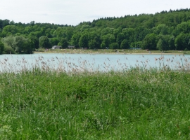 Foto 21