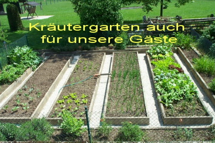 mit dem Kräutergarten können unsere Gäste ihre Kochkünste noch weiter vervollständigen.