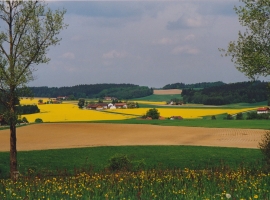 Foto 19