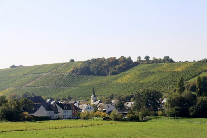 Burgen liegt ruhig und eingebettet in die Weinberge und die Natur