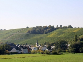 Burgen liegt ruhig und eingebettet in die Weinberge und die Natur