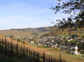 Der Blick auf Burgen aus anderer Perspektive!