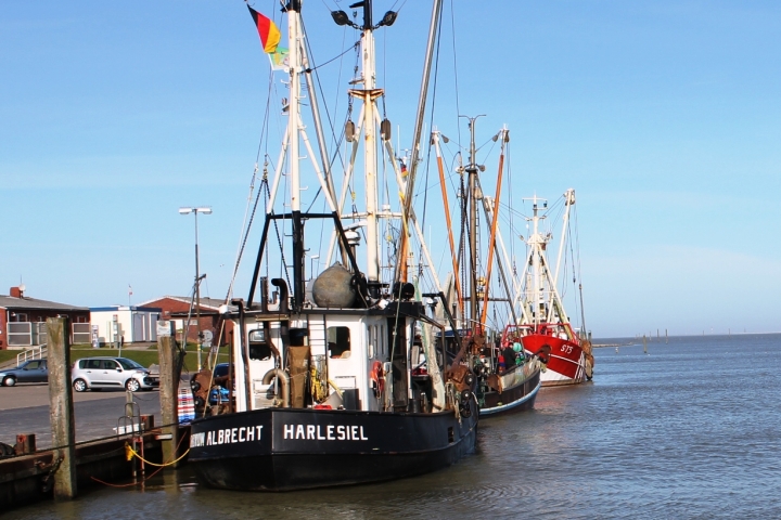 Der Hafen von Harlesiel