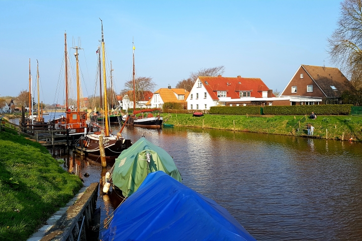 Die Harle