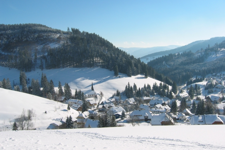 Muggenbrunn auf 960-1100 m, ein Naturparadies