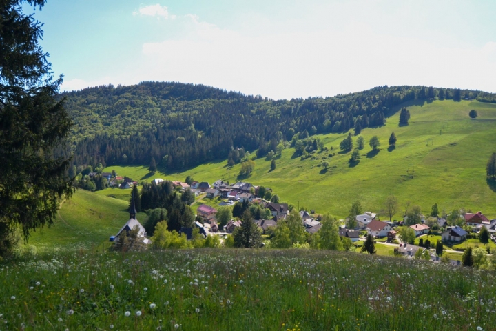 Muggenbrunn auf 960-1100 m, ein Naturparadies