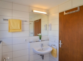 Wohnungsbeispiel: Badezimmer mit Dusche und WC