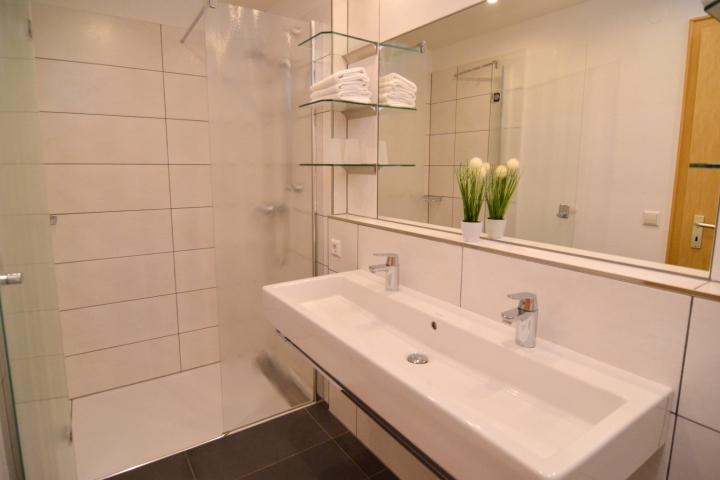 Badezimmer mit Dusche. WC seperat.