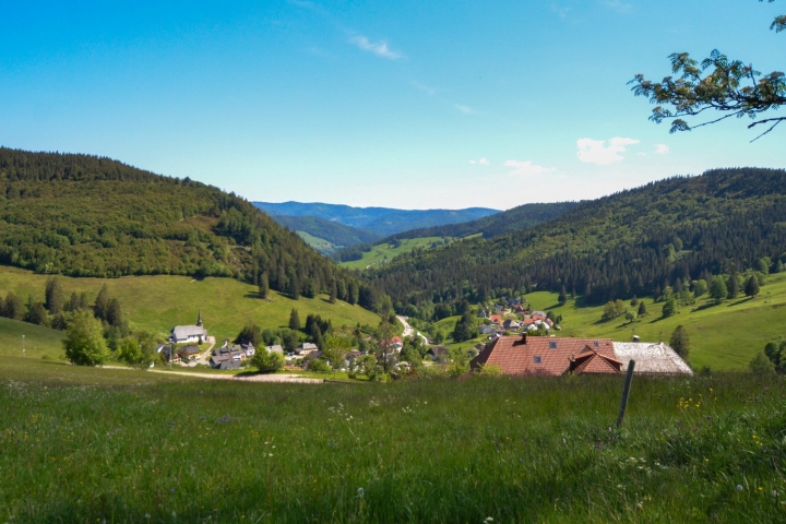 Muggenbrunn auf 960-1100 m, ein Naturparadies