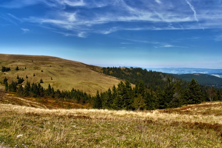hauseigenes Hallenbad (12 x 5 m) mit Massagedrüsen und Unterwassergeysir