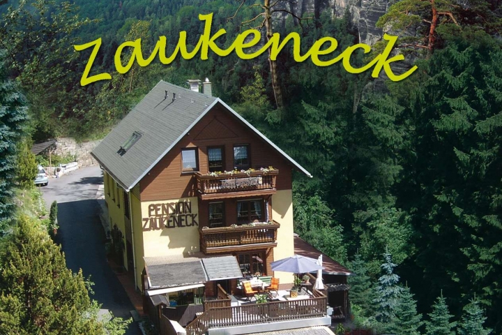 Appartementhaus Zaukeneck | Pension Zaukeneck - Frontansicht - Fotomontage