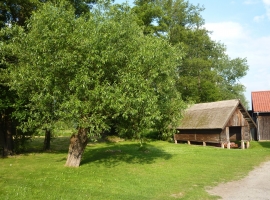 Spreewald Pension Spreeaue in Burg - historischer Kahnschuppen