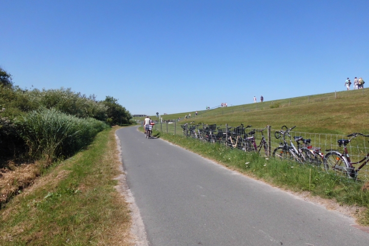 Fuß- und Fahrradweg unterhalb des Deiches