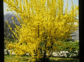 Foto 21