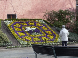 Blumenuhr in Zittau