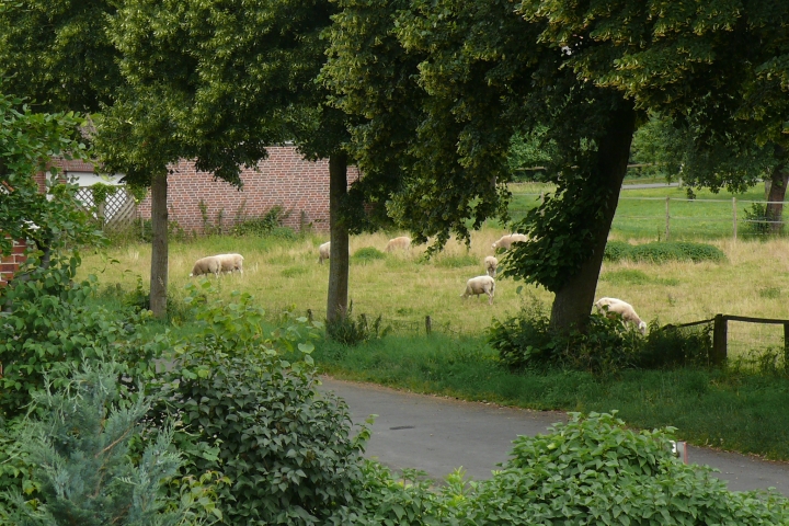 Ausschnitt: Blick vom Balkon Richtung Alte Landstrasse